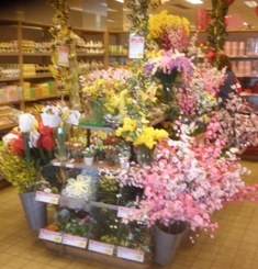 Bloemen